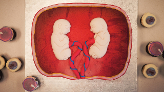 Illustration for article titled The Breeders Celebrate Birthday With Fetus Cake